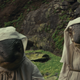 Star Wars: The Last Jedi